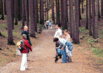 Wanderurlaub Tschechien